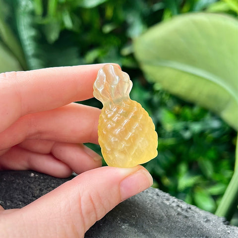 Fluorite Pineapple House