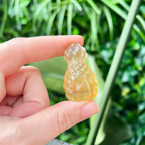 Fluorite Pineapple House