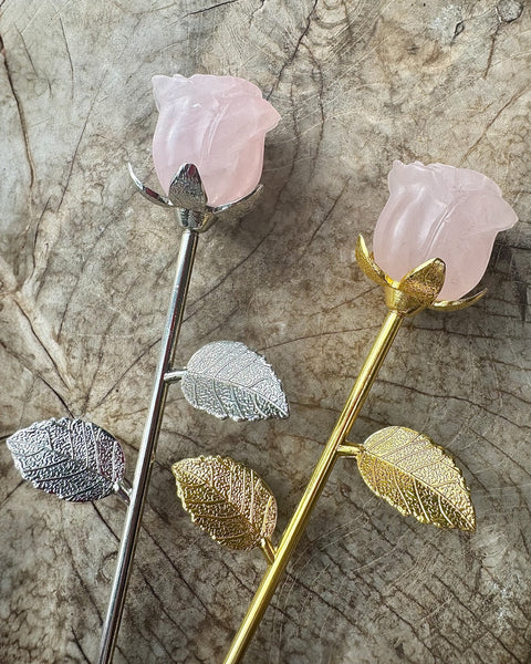 Large rose stem