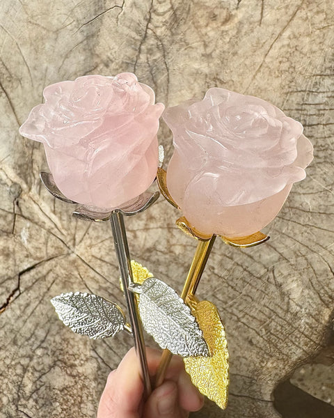 Large rose stem