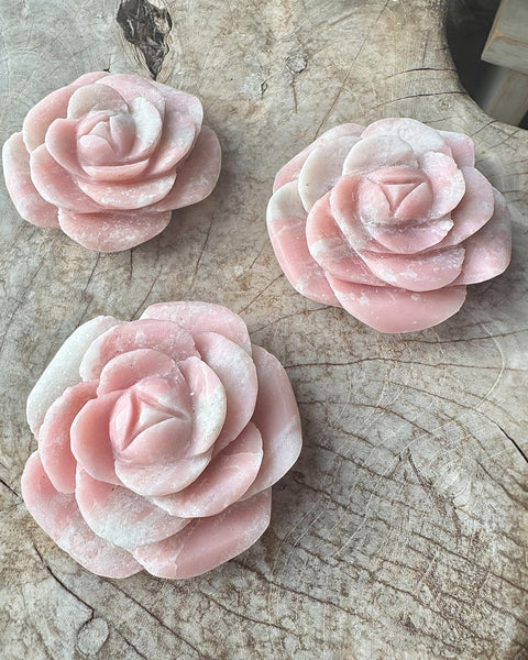 Pink opal rose