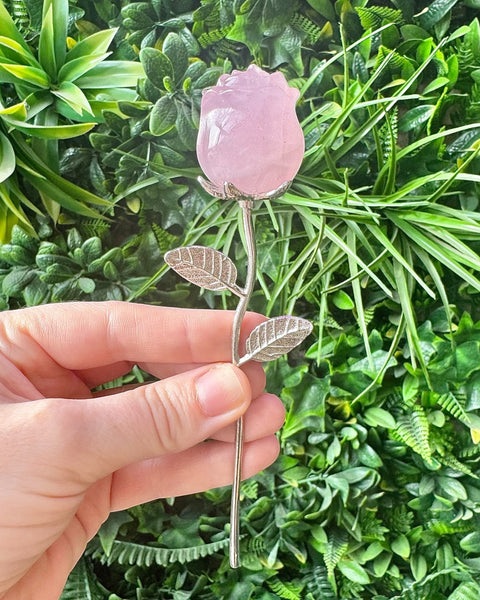 Small rose stem