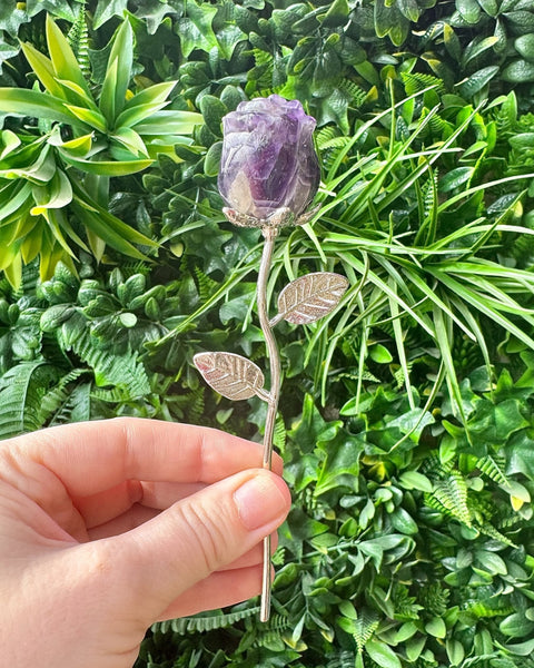 Small rose stem