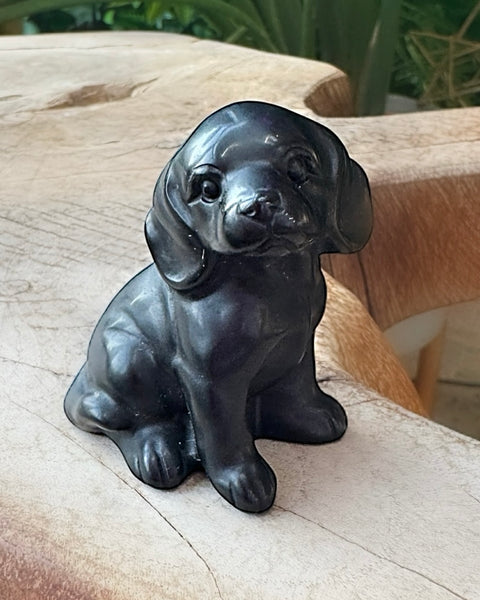 Obsidian Dog