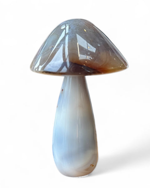 Agate mushrooms