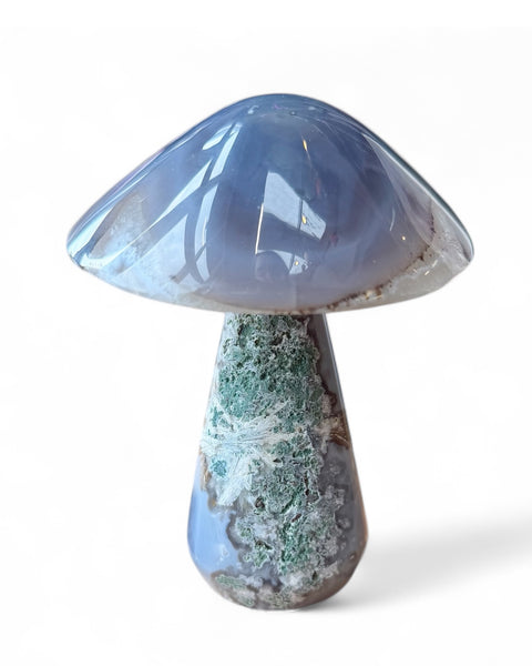 Agate mushrooms