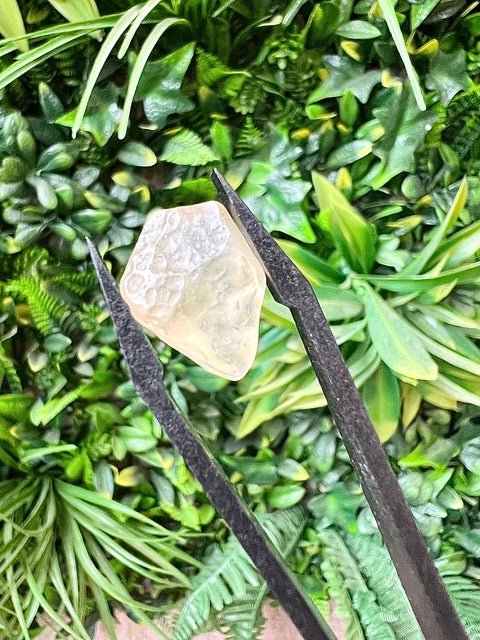 Libyan desert glass