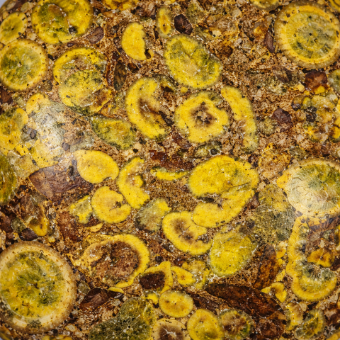 ajooba jasper close up