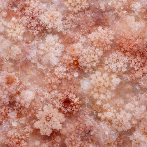 Flower agate crystal collection