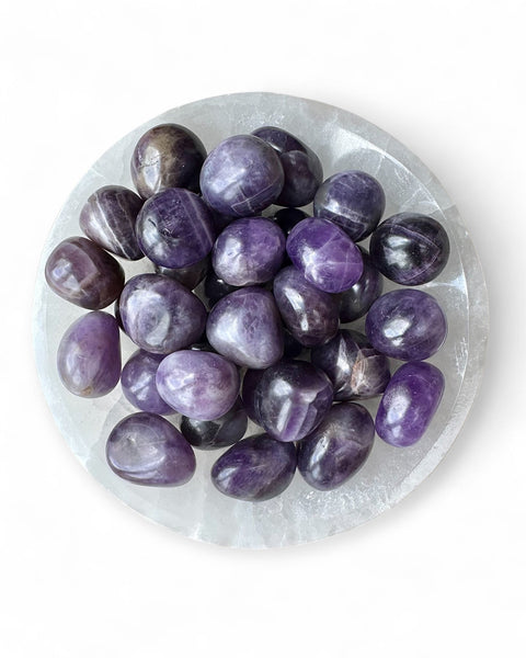Amethyst tumble stones in selenite dish