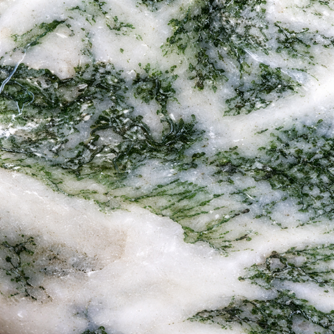 Tree agate