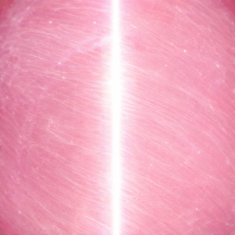 pink cats eye close up