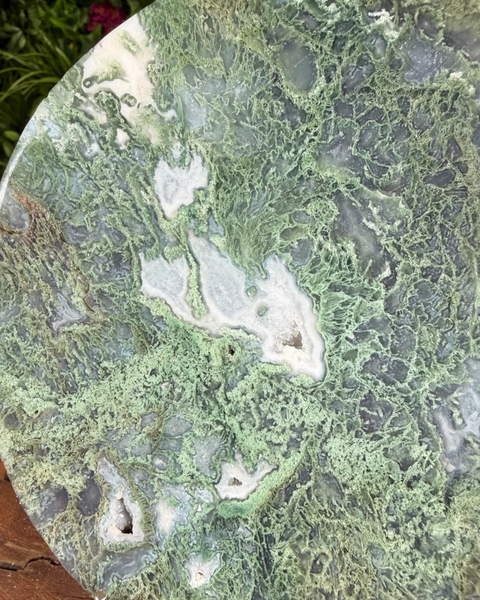 Moss agate plates