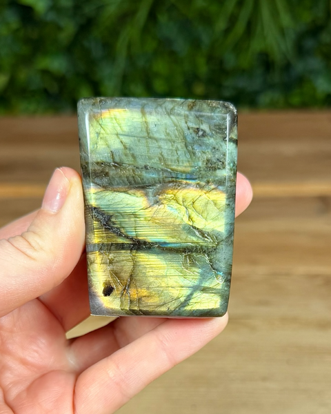 Small Labradorite freeforms