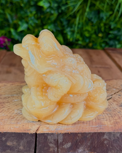 Orange calcite money toad