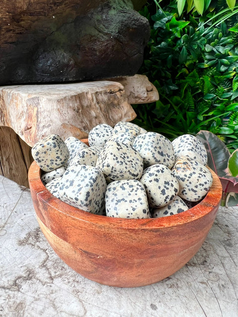 Dalmatian Jasper Tumble Stone