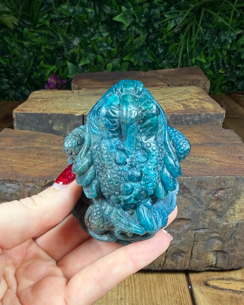 Money Toad with Removable Coin | Feng Shui Wealth Frog for Prosperity & Luck