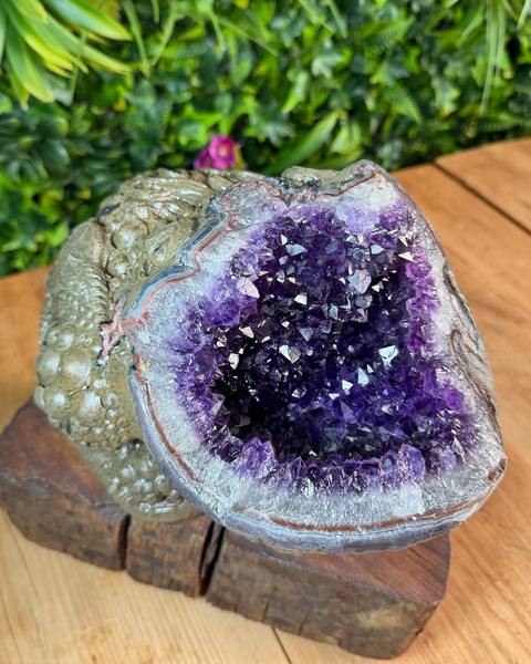 Amethyst money toad / frog carving