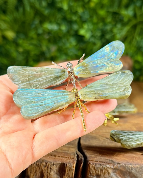 Labradorite dragonfly