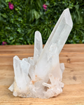 Crystal formation on a wooden surface with a blurred green foliage background