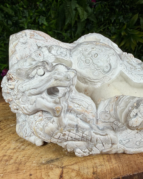 Crazy lace agate dragon carving