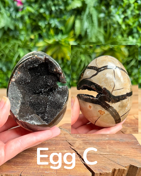Septarian druzy eggs
