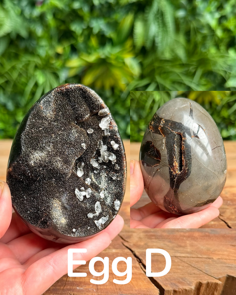Septarian druzy eggs