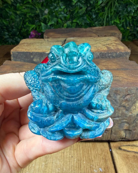 Money Toad with Removable Coin | Feng Shui Wealth Frog for Prosperity & Luck