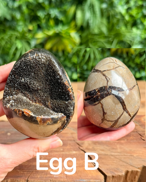 Septarian druzy eggs