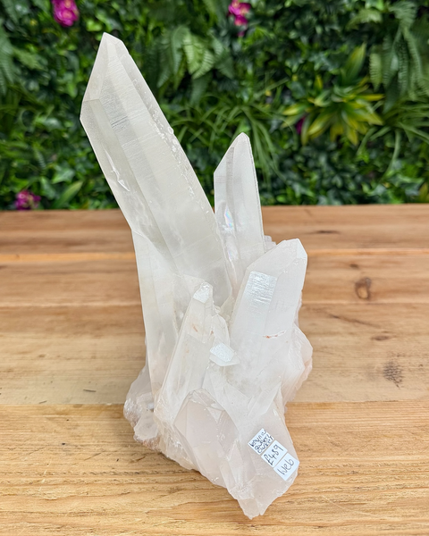 Lemurian quartz cluster
