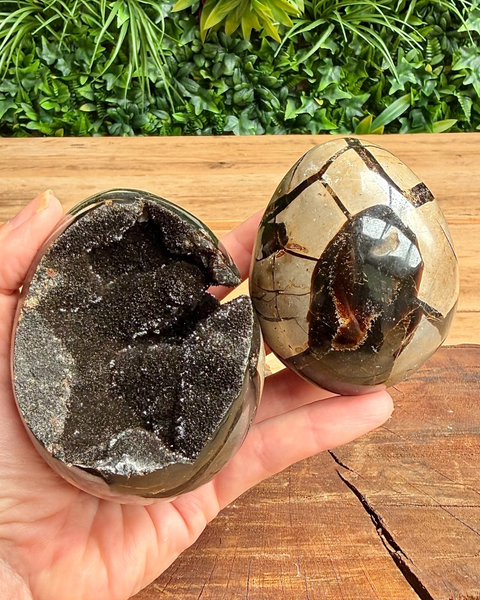 Septarian druzy eggs