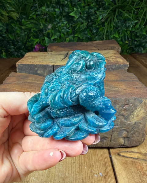Money Toad with Removable Coin | Feng Shui Wealth Frog for Prosperity & Luck