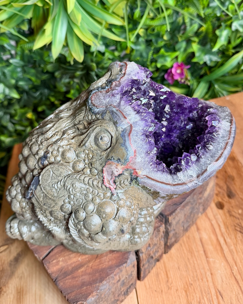 Amethyst money toad / frog carving