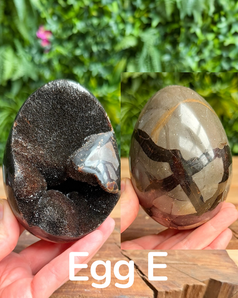 Septarian druzy eggs