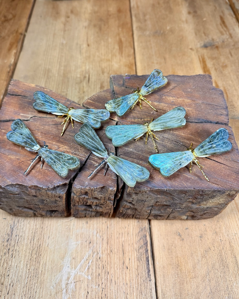 Labradorite dragonfly