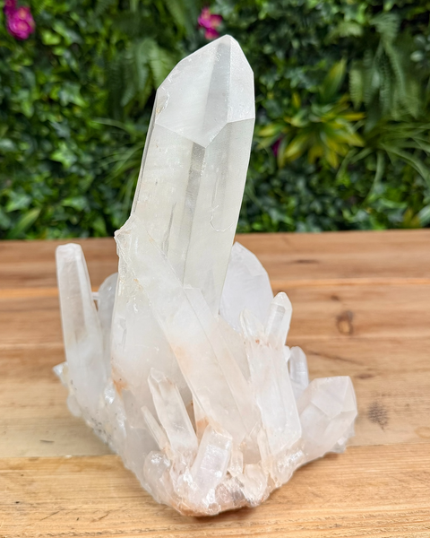 Lemurian quartz cluster
