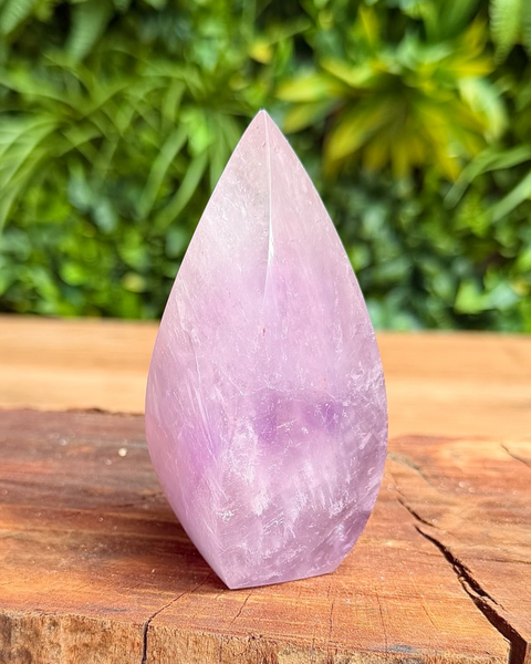 Purple crystal on a wooden surface with a green leafy background