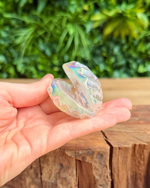 Iridescent aura quartz shell crystal held in a hand with a blurred green foliage background