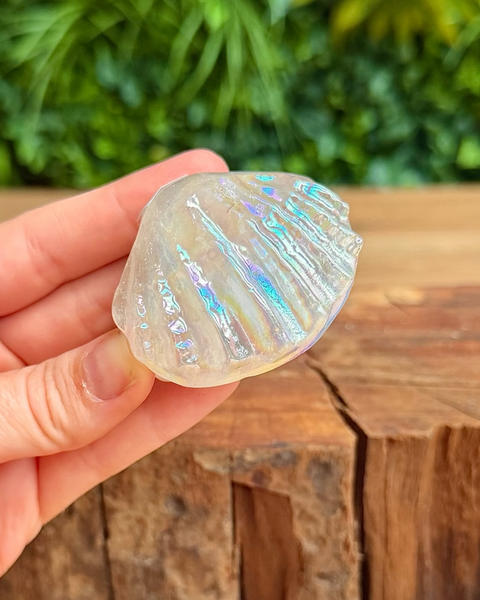 Hand holding a shell with iridescent patterns against a natural background