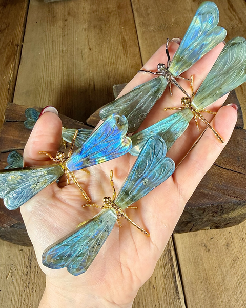 Labradorite dragonfly