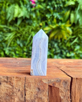 Crystal on a wooden surface with a green leafy background