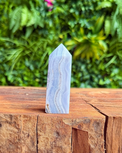 Crystal on a wooden surface with a green leafy background