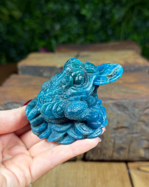Apatite money frog road carving