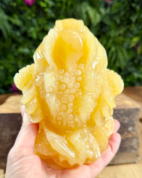 Orange calcite money toad