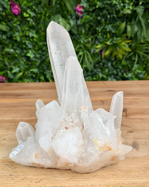 Lemurian quartz cluster