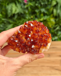 A hand holding a large, glossy cluster of citrine and reddish-brown crystals, with a blurred background of green foliage and a wooden surface.