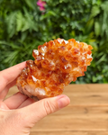 A hand holding a natural citrine crystal cluster against a blurred background of green foliage and a wooden surface.