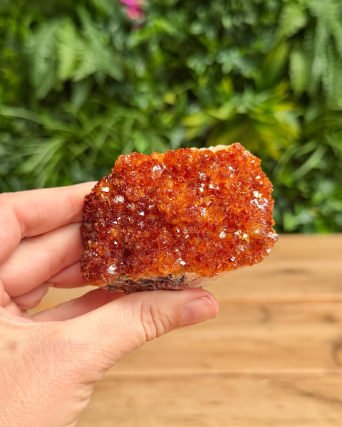 A hand holding a rough orange-brown crystal cluster with sparkling facets, set against a blurred background of green foliage and a wooden surface.
