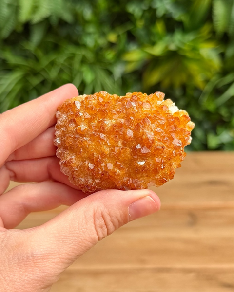 A hand holding a rough, orange crystalline mineral specimen against a blurred background of green foliage and a wooden surface.