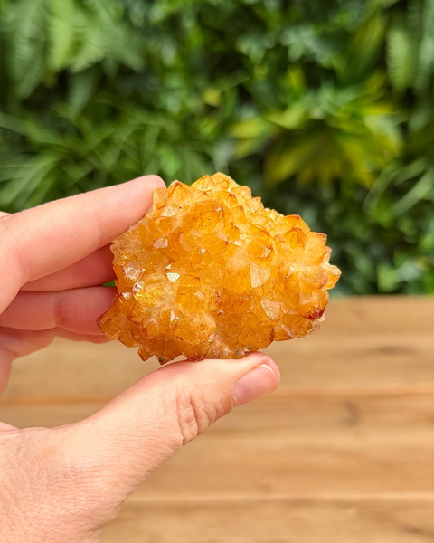 A hand holding a rough, golden-orange crystal cluster against a blurred background of green foliage and a wooden surface.